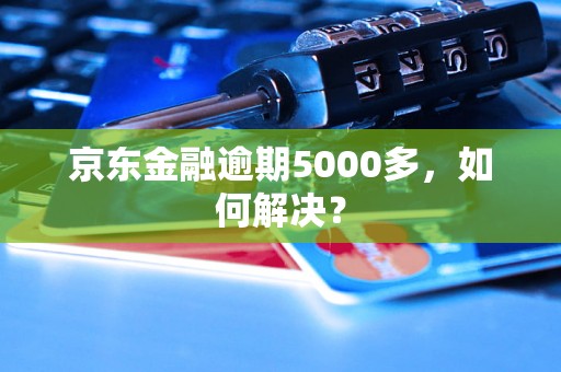 京东金融逾期5000多，如何解决？