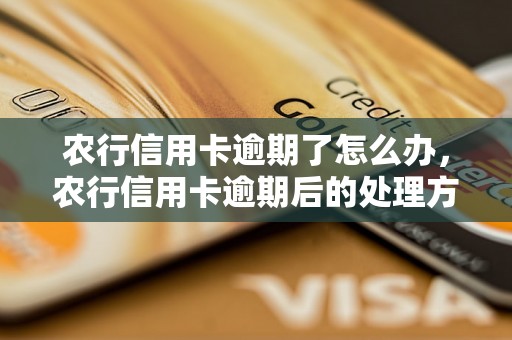 农行信用卡逾期了怎么办，农行信用卡逾期后的处理方法