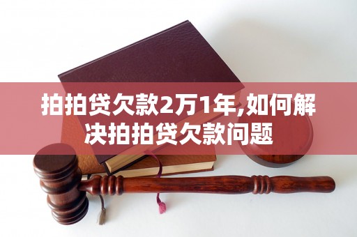 拍拍贷欠款2万1年,如何解决拍拍贷欠款问题