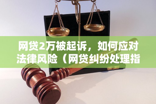 网贷2万被起诉，如何应对法律风险（网贷纠纷处理指南）