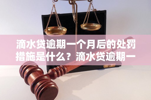 滴水贷逾期一个月后的处罚措施是什么？滴水贷逾期一个月会有什么后果？