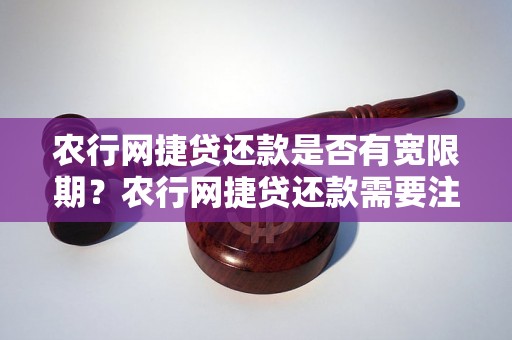 农行网捷贷还款是否有宽限期？农行网捷贷还款需要注意什么？