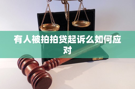 有人被拍拍贷起诉么如何应对