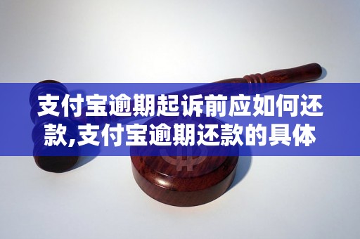 支付宝逾期起诉前应如何还款,支付宝逾期还款的具体流程