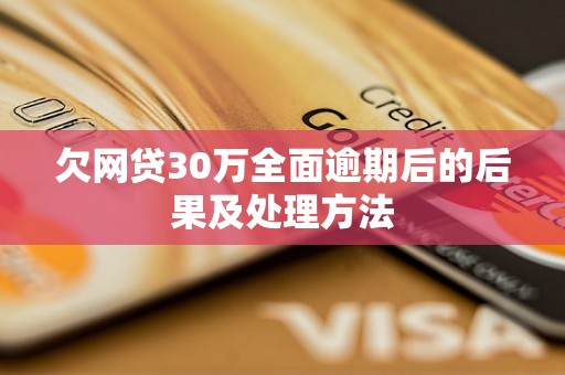 欠网贷30万全面逾期后的后果及处理方法