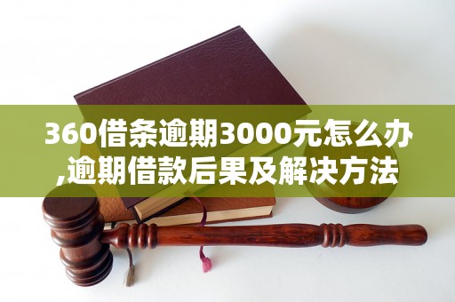 360借条逾期3000元怎么办,逾期借款后果及解决方法