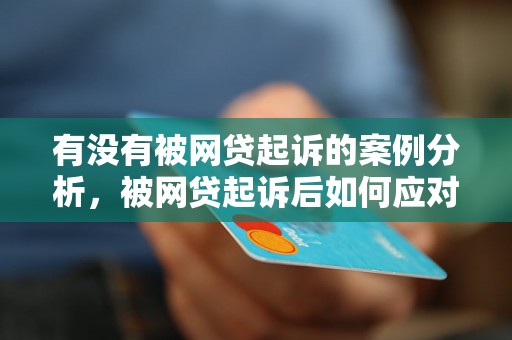 有没有被网贷起诉的案例分析，被网贷起诉后如何应对