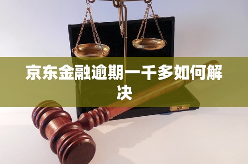 京东金融逾期一千多如何解决