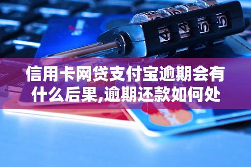 信用卡网贷支付宝逾期会有什么后果,逾期还款如何处理