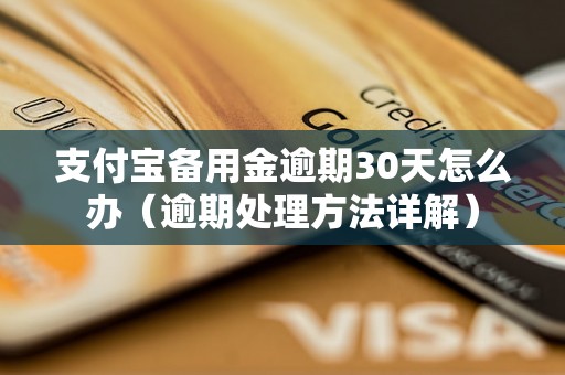 支付宝备用金逾期30天怎么办（逾期处理方法详解）