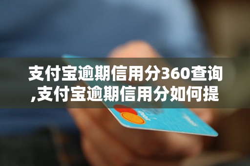 支付宝逾期信用分360查询,支付宝逾期信用分如何提升