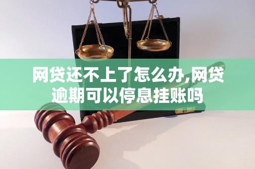 网贷还不上了怎么办,网贷逾期可以停息挂账吗