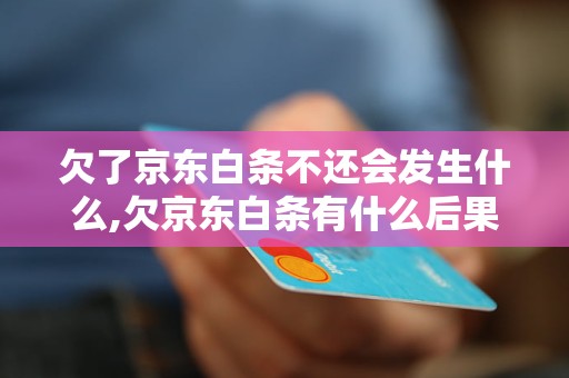 欠了京东白条不还会发生什么,欠京东白条有什么后果