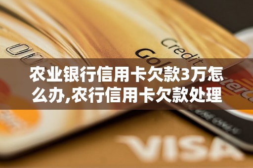 农业银行信用卡欠款3万怎么办,农行信用卡欠款处理方法