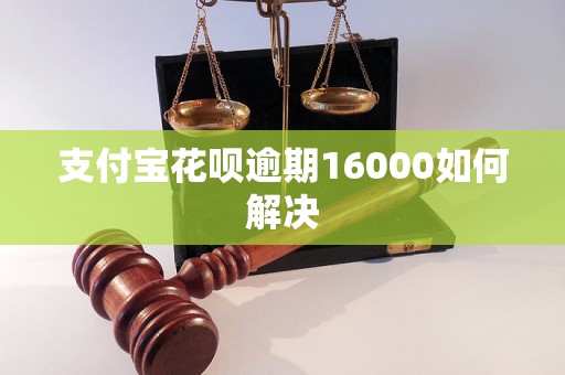 支付宝花呗逾期16000如何解决