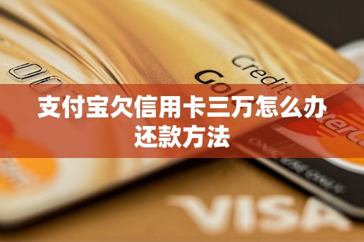 支付宝欠信用卡三万怎么办还款方法