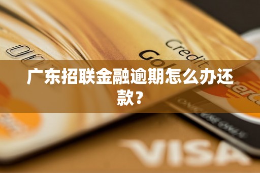 广东招联金融逾期怎么办还款？