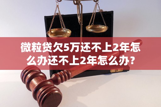 微粒贷欠5万还不上2年怎么办还不上2年怎么办？