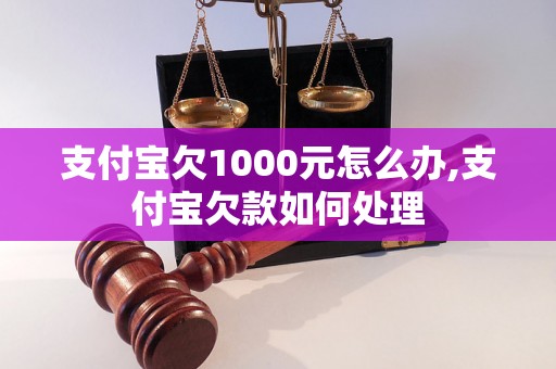 支付宝欠1000元怎么办,支付宝欠款如何处理