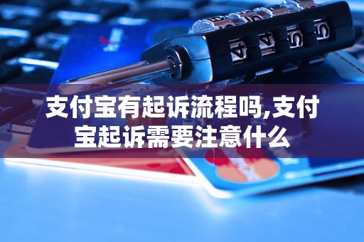 支付宝有起诉流程吗,支付宝起诉需要注意什么