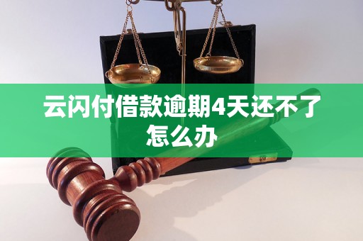 云闪付借款逾期4天还不了怎么办