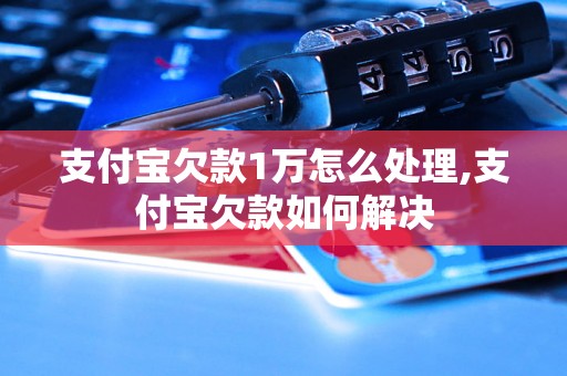 支付宝欠款1万怎么处理,支付宝欠款如何解决