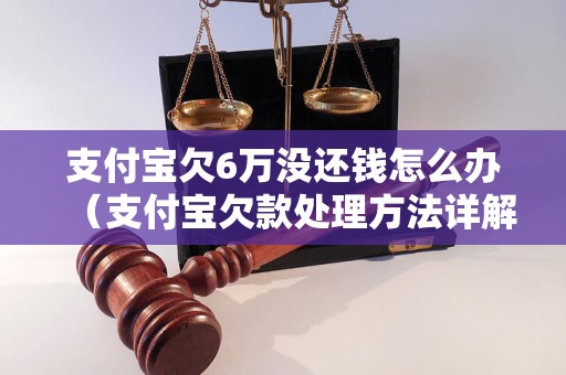 支付宝欠6万没还钱怎么办（支付宝欠款处理方法详解）