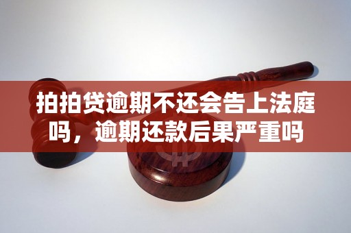 拍拍贷逾期不还会告上法庭吗，逾期还款后果严重吗