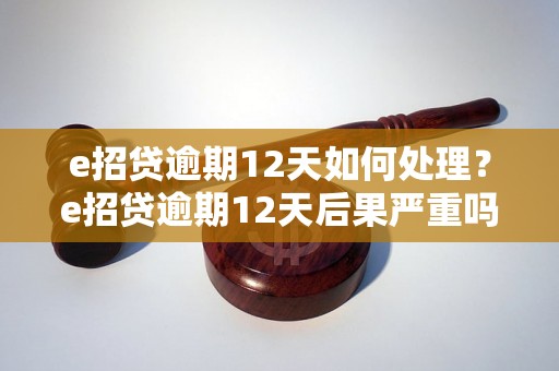 e招贷逾期12天如何处理？e招贷逾期12天后果严重吗？