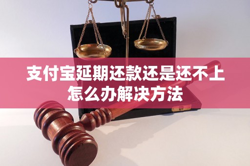 支付宝延期还款还是还不上怎么办解决方法