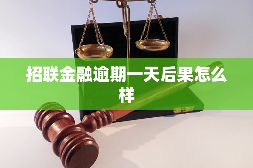 招联金融逾期一天后果怎么样