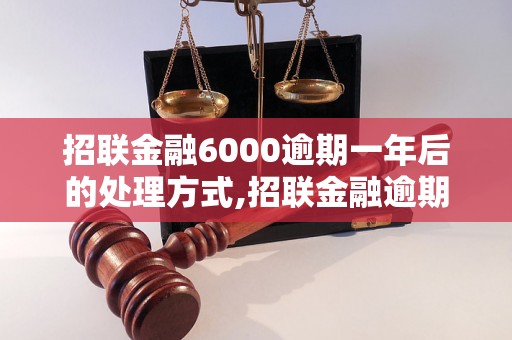 招联金融6000逾期一年后的处理方式,招联金融逾期还款后果分析