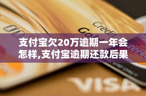 支付宝欠20万逾期一年会怎样,支付宝逾期还款后果及处罚措施