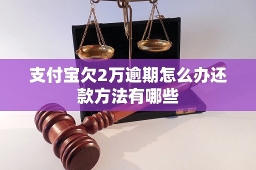 支付宝欠2万逾期怎么办还款方法有哪些