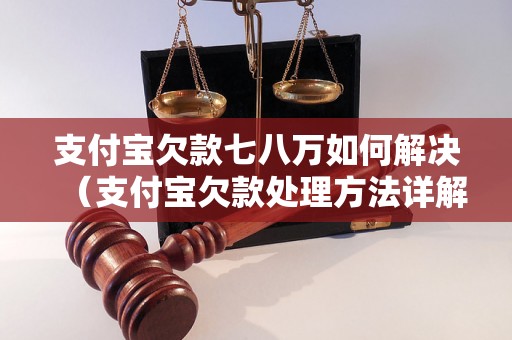 支付宝欠款七八万如何解决（支付宝欠款处理方法详解）