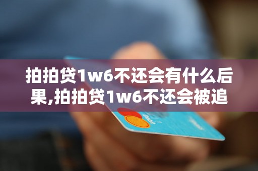 拍拍贷1w6不还会有什么后果,拍拍贷1w6不还会被追究法律责任吗