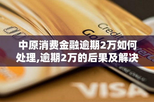 中原消费金融逾期2万如何处理,逾期2万的后果及解决方法