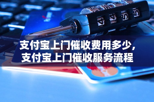 支付宝上门催收费用多少,支付宝上门催收服务流程