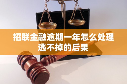 招联金融逾期一年怎么处理逃不掉的后果