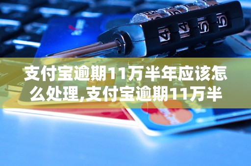 支付宝逾期11万半年应该怎么处理,支付宝逾期11万半年后果严重吗