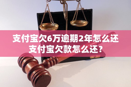 支付宝欠6万逾期2年怎么还支付宝欠款怎么还？