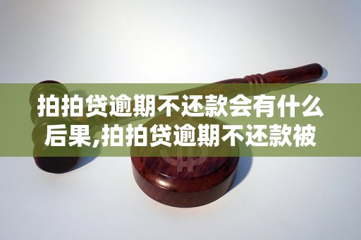 拍拍贷逾期不还款会有什么后果,拍拍贷逾期不还款被追究责任吗