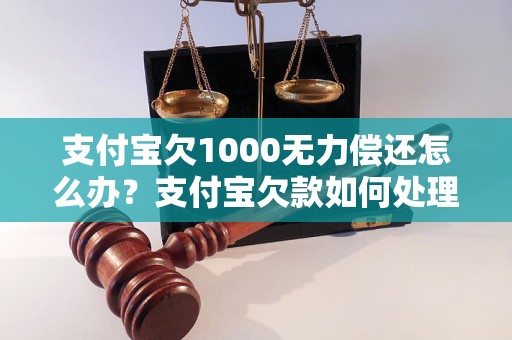 支付宝欠1000无力偿还怎么办？支付宝欠款如何处理？