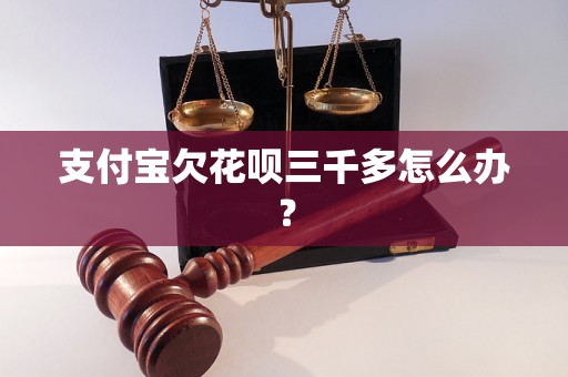 支付宝欠花呗三千多怎么办？