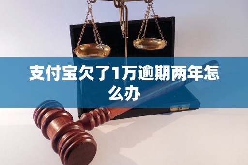 支付宝欠了1万逾期两年怎么办