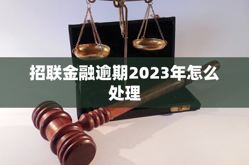 招联金融逾期2023年怎么处理