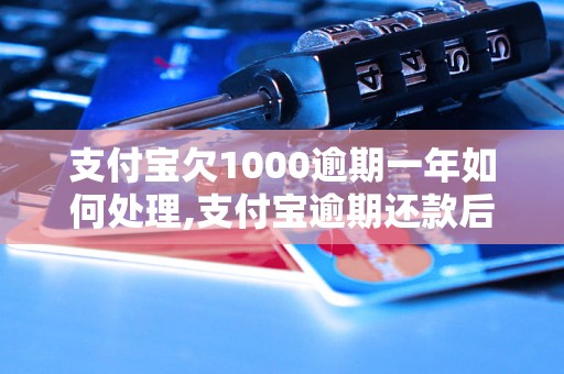 支付宝欠1000逾期一年如何处理,支付宝逾期还款后果严重吗