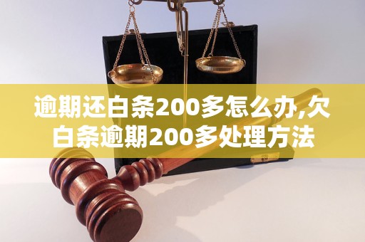 逾期还白条200多怎么办,欠白条逾期200多处理方法