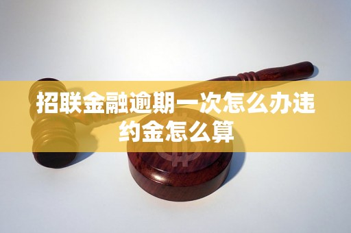 招联金融逾期一次怎么办违约金怎么算