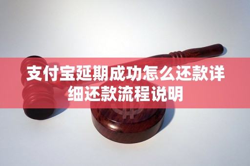 支付宝延期成功怎么还款详细还款流程说明